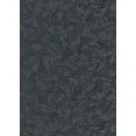 DIMEX | Vliesová tapeta na zeď WPE-901765 | 0,53 x 10,05 m | černá + Černá vliesová tapeta na stěnu WPE901765 v rozměru 0,53 x 10,05 m