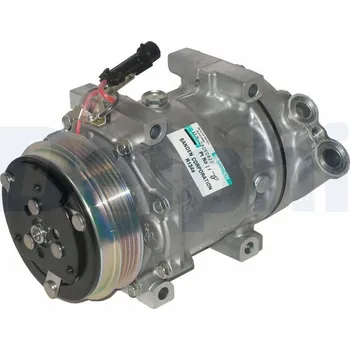 Klimatizace automobilu Kompresor, klimatizace DELPHI TSP0159808