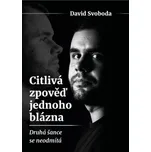 Citlivá zpověď jednoho blázna: Druhá šance se neodmítá - David Svoboda (2023, brožovaná)