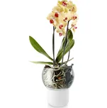 Skleněný samozavlažovací květináč na orchideje O 15 cm Eva Solo