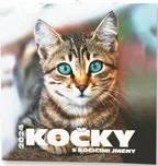 Baloušek Tisk Nástěnný kalendář Kočky…