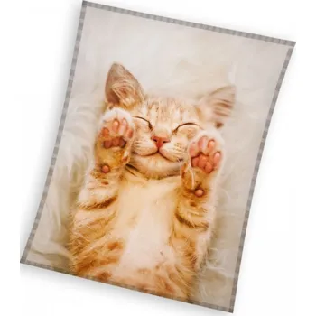 Dětská deka Deka mikroplyšová Spící kotě, 130*170 cm (Deky s kočkou, kočky, kočka)