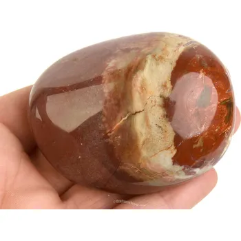 Přírodní kámen Hladký kámen zkamenělé dřevo (Madagaskar) 181g