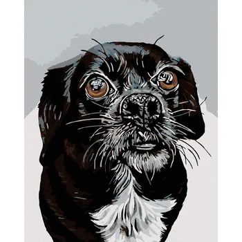 Diamondi Diamantové malování - ČERNOBÍLÝ OŘÍŠEK Rozměr: 40x50 cm, Rámování: bez rámu a bez vypnutí plátna