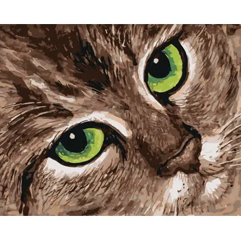 Diamondi Diamantové malování - KOČKA A ZELENÉ OČI Rozměr: 40x50 cm, Rámování: vypnuté plátno na rám