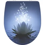 Schütte Water Lily 435111