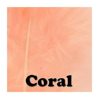 Barva Veniard - Veniard Dye Coral