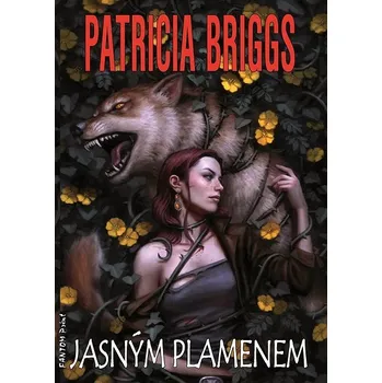 Kniha Jasným plamenem Ekniha