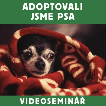 DVD film Dokonalá Láska VIDEOSEMINÁŘ – ADOPTOVALI JSME PSA