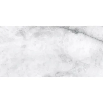 Obklad Aston rekt. - obkládačka rektifikovaná 30x60 šedá lesk 164850