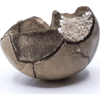 Přírodní kámen Milujeme Kameny Septárie - "Dračí vejce" - drúza SR109 375032