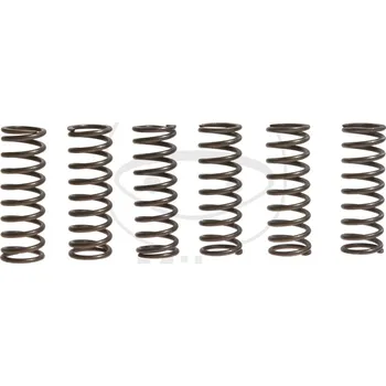 Sada spojkových pružin HONDA CBR 1100 XX Blackbird rok 99-08