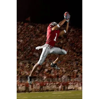 Plakát Plakát, Obraz - Football Catch, petesaloutos