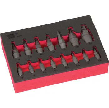 Gola hlavice Hlavice zástrčné, Torx T6-T70, S2, sada 15 dílů, Pěnový zásobník, Welzh (Welzh Werkzeug)