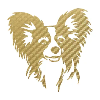 Polep vozidla SAMOLEPKA Pes 190 pravá Papillon (59 - 3D karbon zlatý) NA AUTO, NÁLEPKA, FÓLIE, POLEP, TUNING, VLASTNÍ TEXT, TISK, AUTOSAMOLEPKY.cz, POLEPY, OBRÁZEK, LOGO, SAMOLEPKY