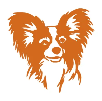 Polep vozidla Pes 190 pravá Papillon (26 - oříšková) SAMOLEPKA NA AUTO, NÁLEPKA, FÓLIE, POLEP, TUNING, VLASTNÍ TEXT, TISK, AUTOSAMOLEPKY.cz, POLEPY, OBRÁZEK, LOGO, 3D STICKERS