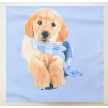 Povlak na dekorativní polštářek Apex® produktová řada 3D 3D povláček na polštářek Apex - Labrador - Povláček na polštářek