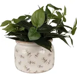 Béžový antik obal na květináč s olivami Olive Fields L - Ø 20*15 cm