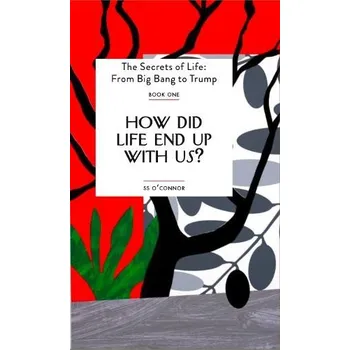 Cizojazyčná kniha How Did Life End Up With Us? - O'Connor, S. S.