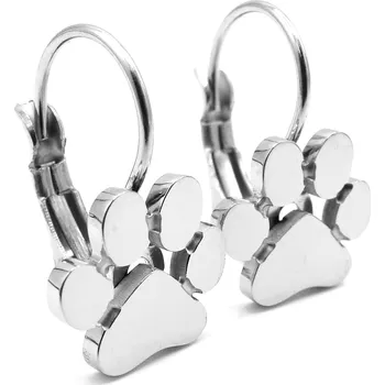 Náušnice Steel Jewelry Náušnice tlapky z chirurgické oceli NS220222 dárkové balení zdarma