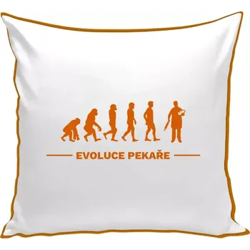 Polštář Polštář barevný 32x32 cm Evoluce - pekař