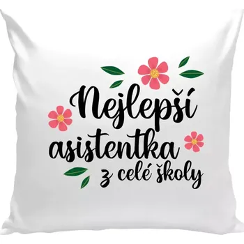 Polštář Polštář bílý 40x40 cm Nejlepší asistentka z celé školy