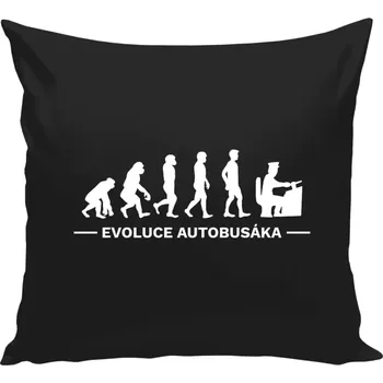 Polštář Polštář černý 40x40 cm Evoluce - autobusák