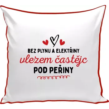 Polštář Polštář barevný 32x32 cm Bez plynu a elektřiny, vlezem častějc pod peřiny