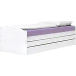 Idea nábytek Rozkládací pohovka FENIX bílý lak