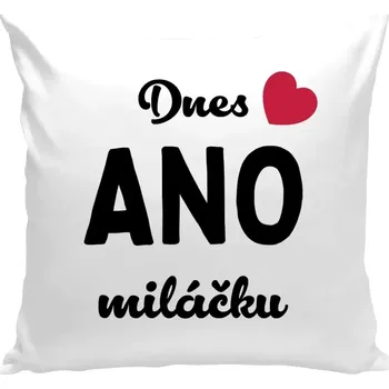 Polštář Polštář bílý 40x40 cm Dnes ANO miláčku