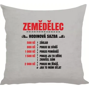 Polštář Polštář lněný 40x40 cm Hodinová sazba - zemědělec