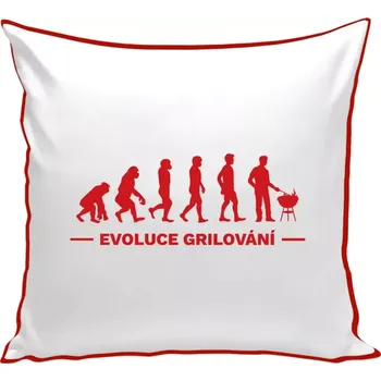 Polštář Polštář barevný 32x32 cm Evoluce - grilování