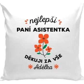 Polštář Polštář bílý 40x40 cm Nejlepší paní asistentka