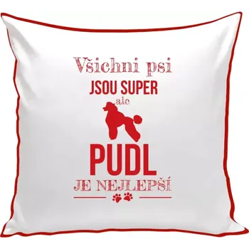 Polštář Polštář barevný 32x32 cm Pudl je nejlepší