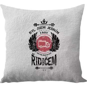 Polštář Polštář bílý 40x40 cm - dlouhý chlup Byl jsem jedním z davu, ale pak jsem se stal řidičem