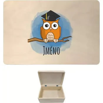 Úložný box Dřevěný box s víkem Sovička