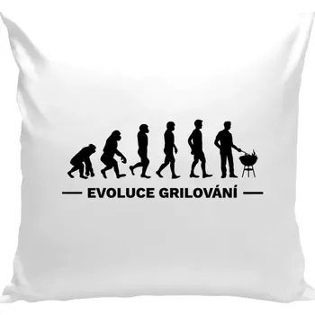 Polštář Polštář bílý 40x40 cm Evoluce - grilování