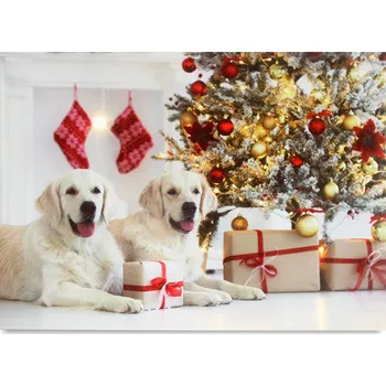 Vánoční dekorace Autronic Obraz nástěnná svítící dekorace - 7 ks LED světla, zimní motiv - BD586