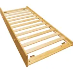 Idea nábytek Výsuvná postel TORINO 90x200