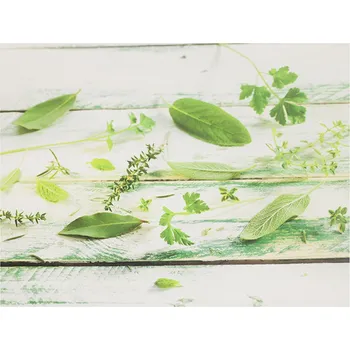 Obraz Autronic Obraz plátěný - OBX1071