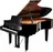 Yamaha C5X PE, Polished Ebony