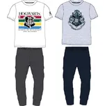 Harry Poter - licence Pánské pyžamo - Harry Potter 5304045, šedá / černé kalhoty Barva: Šedá, Velikost: S