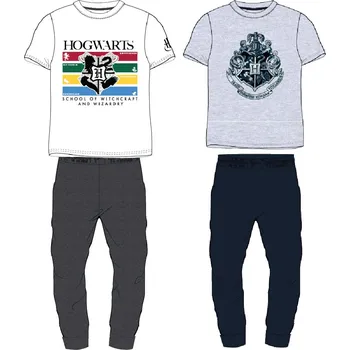 Harry Poter - licence Pánské pyžamo - Harry Potter 5304045, šedá / černé kalhoty Barva: Šedá, Velikost: S