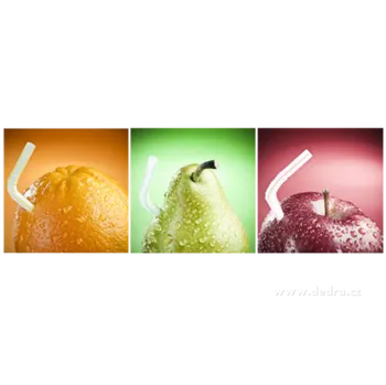 Obraz 3ks obrazů na plátně 40 x 40 cm digitální tisk na canvasové plátno