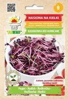 Toraf Ředkvička Red Hurricane Microgreens semínka na klíčky 10 g