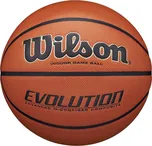 Wilson Evolution Indoor WTB0516XBEMEA