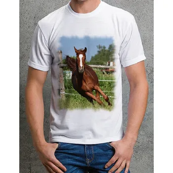 Chlapecké tričko tričko s koněm č. 14 S