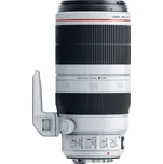 Canon EF 100-400mm F4.5 - 5.6L IS II USM