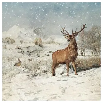 Přání WC043 BUG ART - vánoční