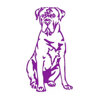 Polep vozidla SAMOLEPKA Pes 194 levá Cane Corso (14 - fialová) NA AUTO, NÁLEPKA, FÓLIE, POLEP, TUNING, VLASTNÍ TEXT, TISK, AUTOSAMOLEPKY.cz, POLEPY, OBRÁZEK, LOGO, SAMOLEPKY